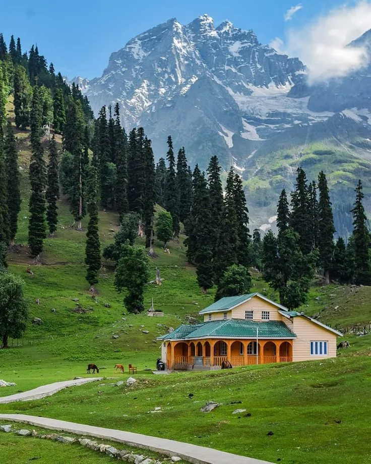 Kashmir
