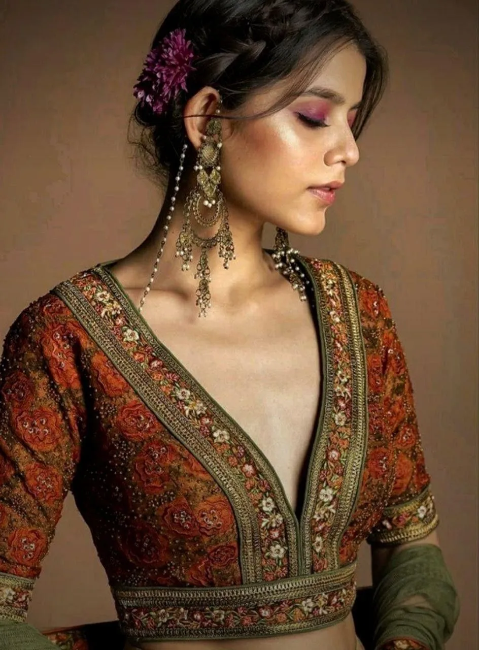 Deep Neck blouse design