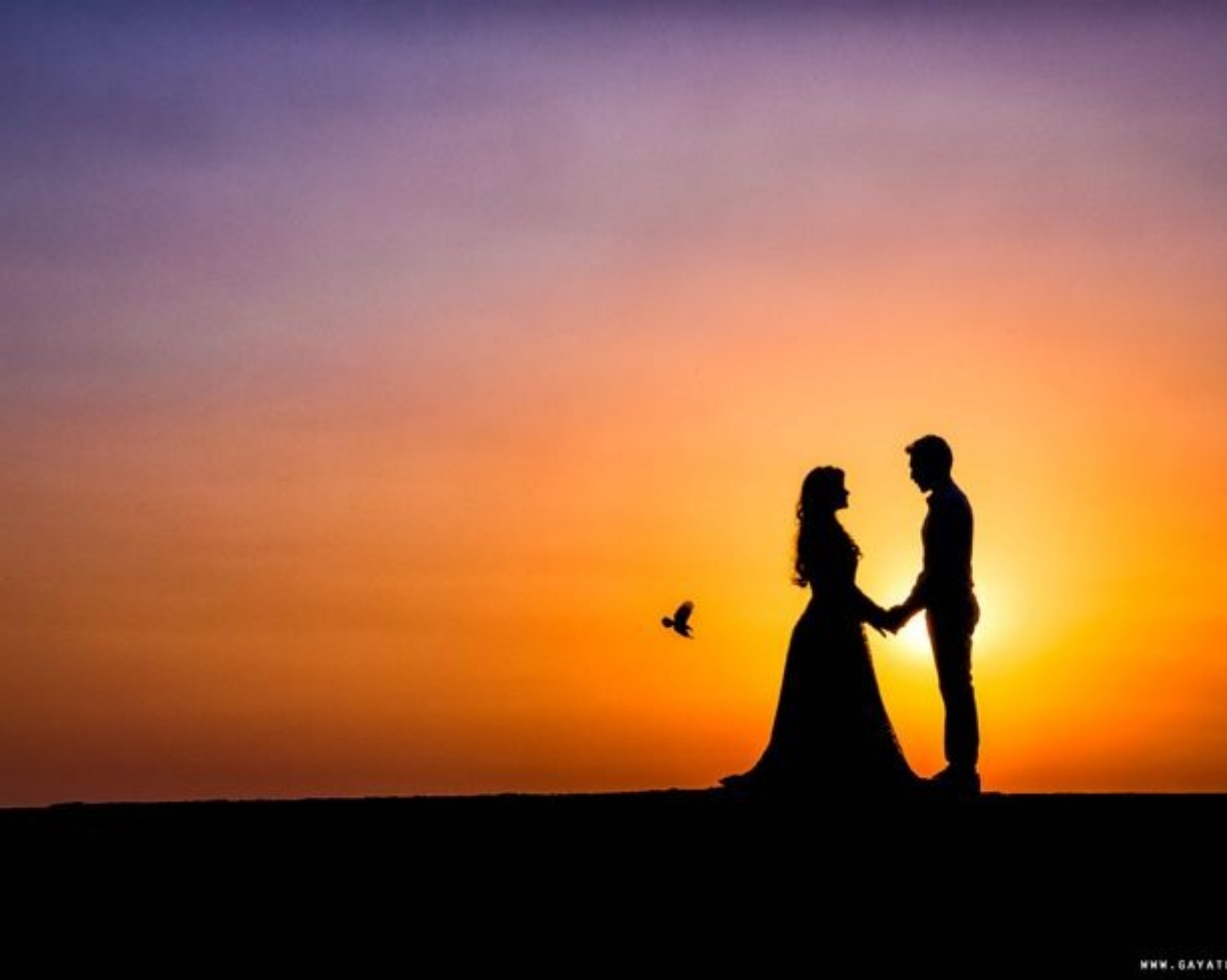 Silhouette Shot During Sunset