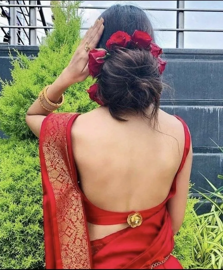 blouse back design images