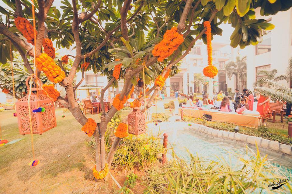 venue-img