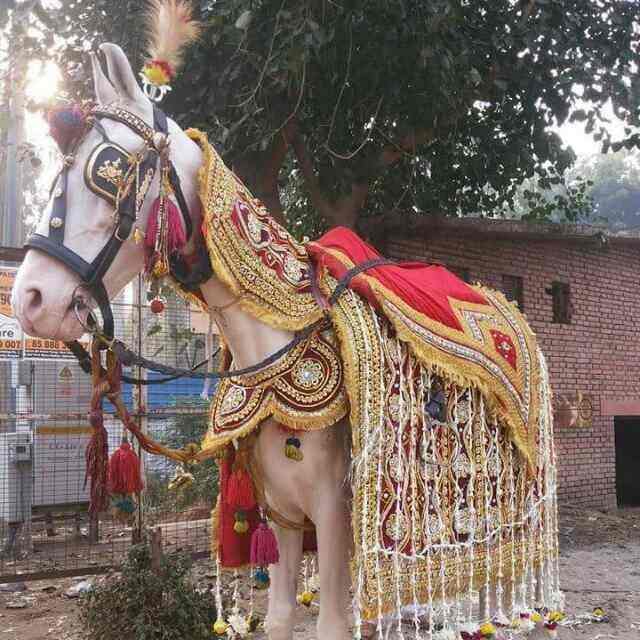 venue-img